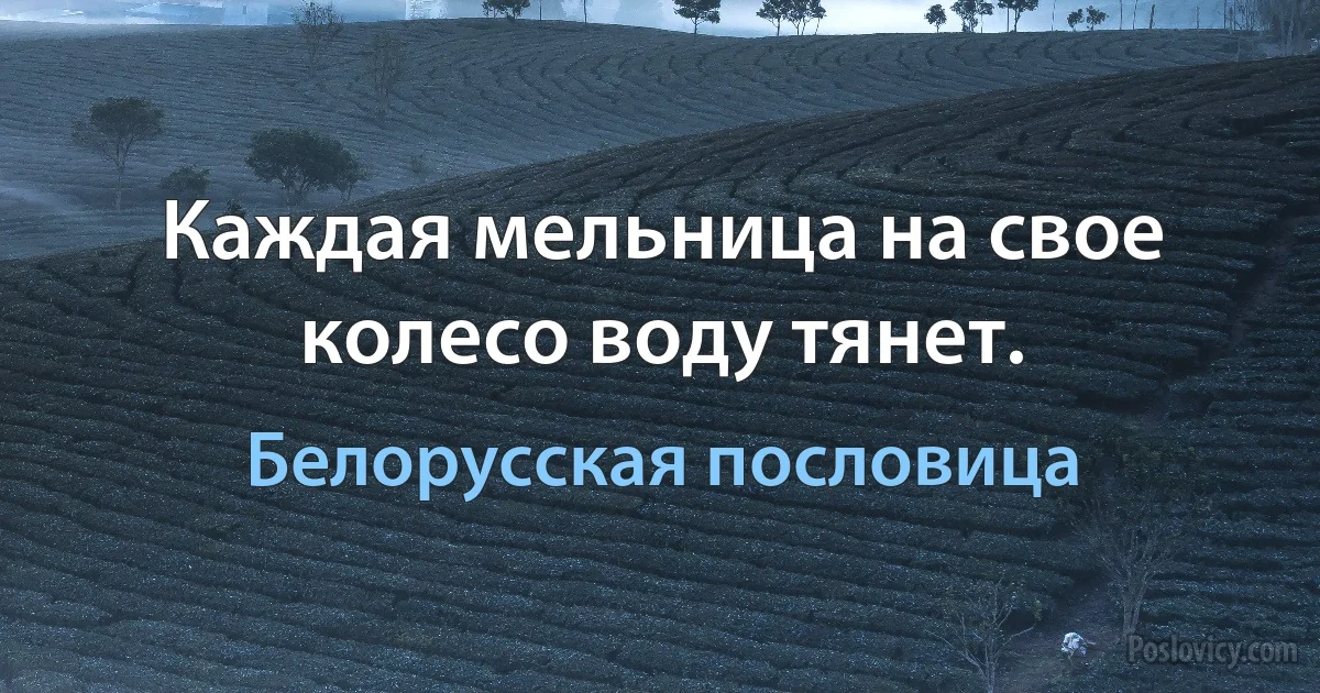 Каждая мельница на свое колесо воду тянет. (Белорусская пословица)