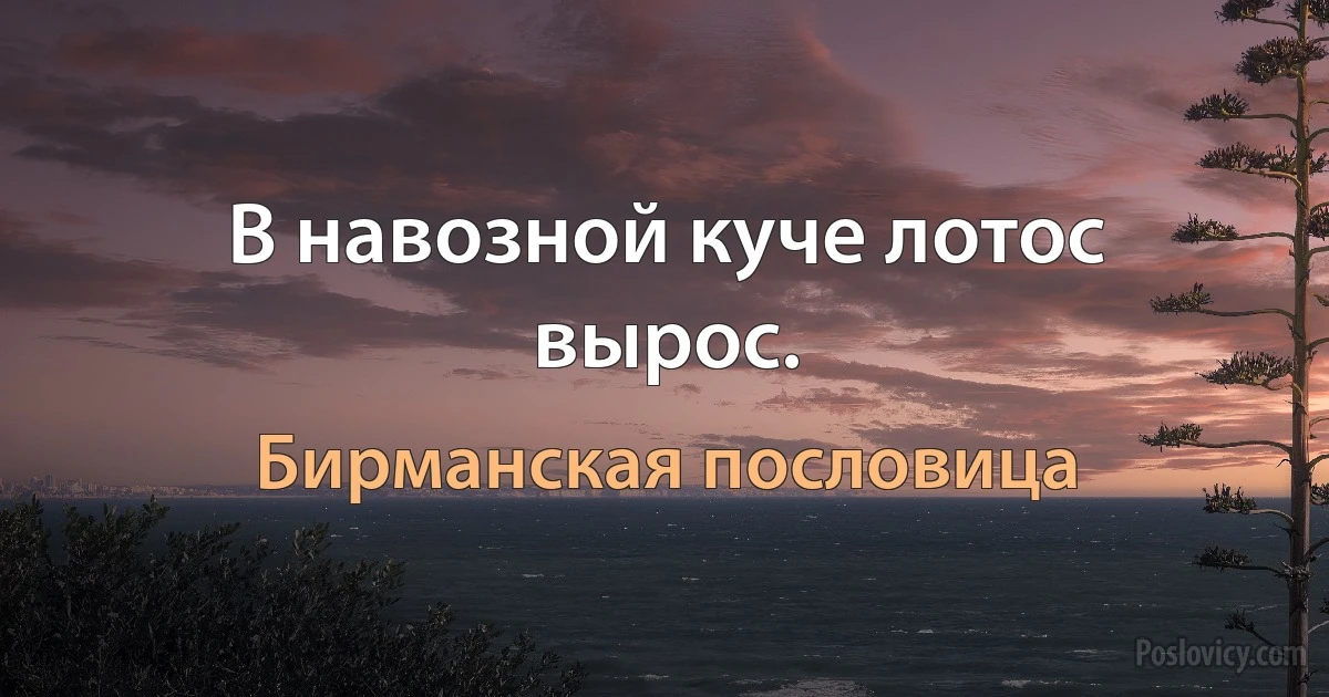 В навозной куче лотос вырос. (Бирманская пословица)