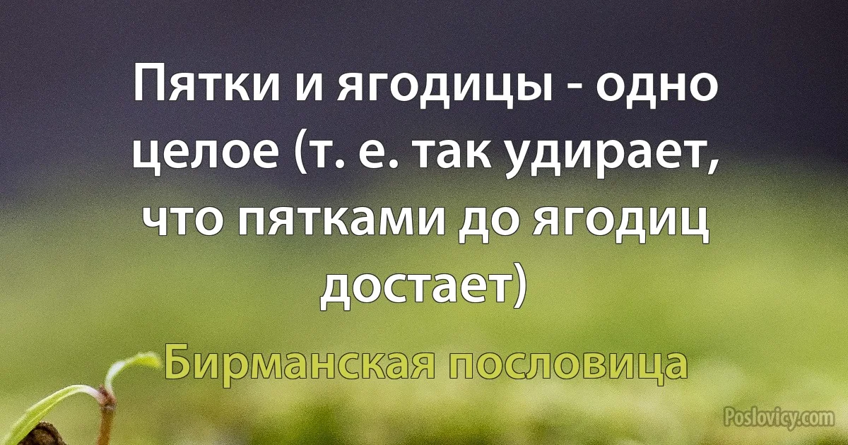 Пятки и ягодицы - одно целое (т. е. так удирает, что пятками до ягодиц достает) (Бирманская пословица)