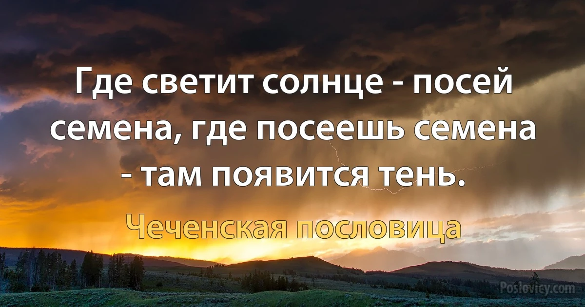 Где светит солнце - посей семена, где посеешь семена - там появится тень. (Чеченская пословица)