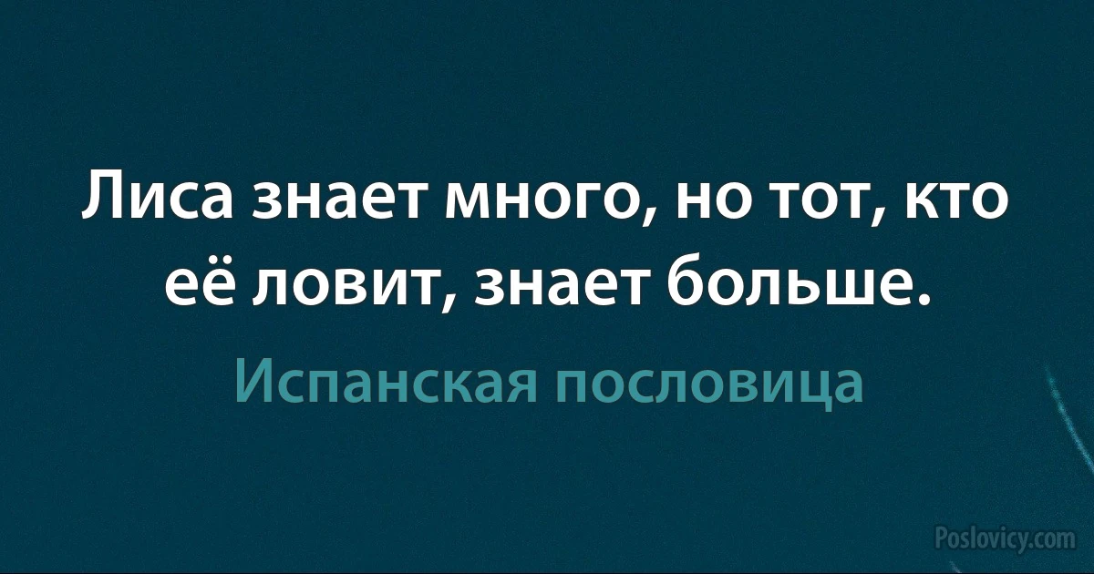 Лиса знает много, но тот, кто её ловит, знает больше. (Испанская пословица)