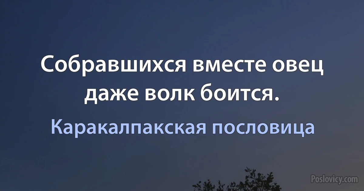 Собравшихся вместе овец даже волк боится. (Каракалпакская пословица)