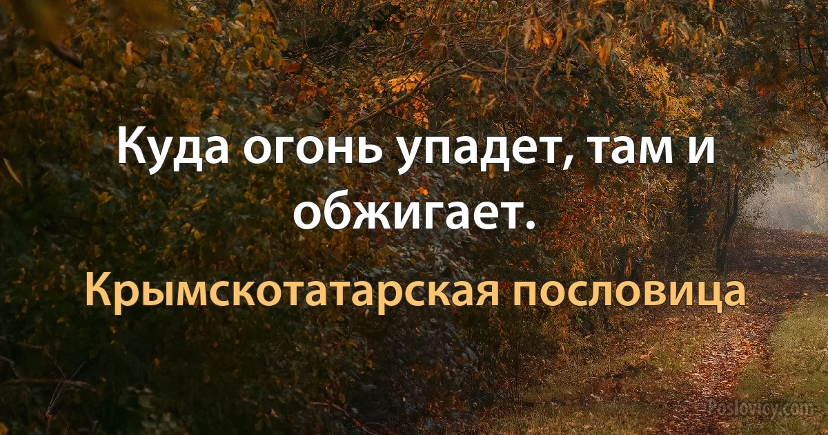 Куда огонь упадет, там и обжигает. (Крымскотатарская пословица)