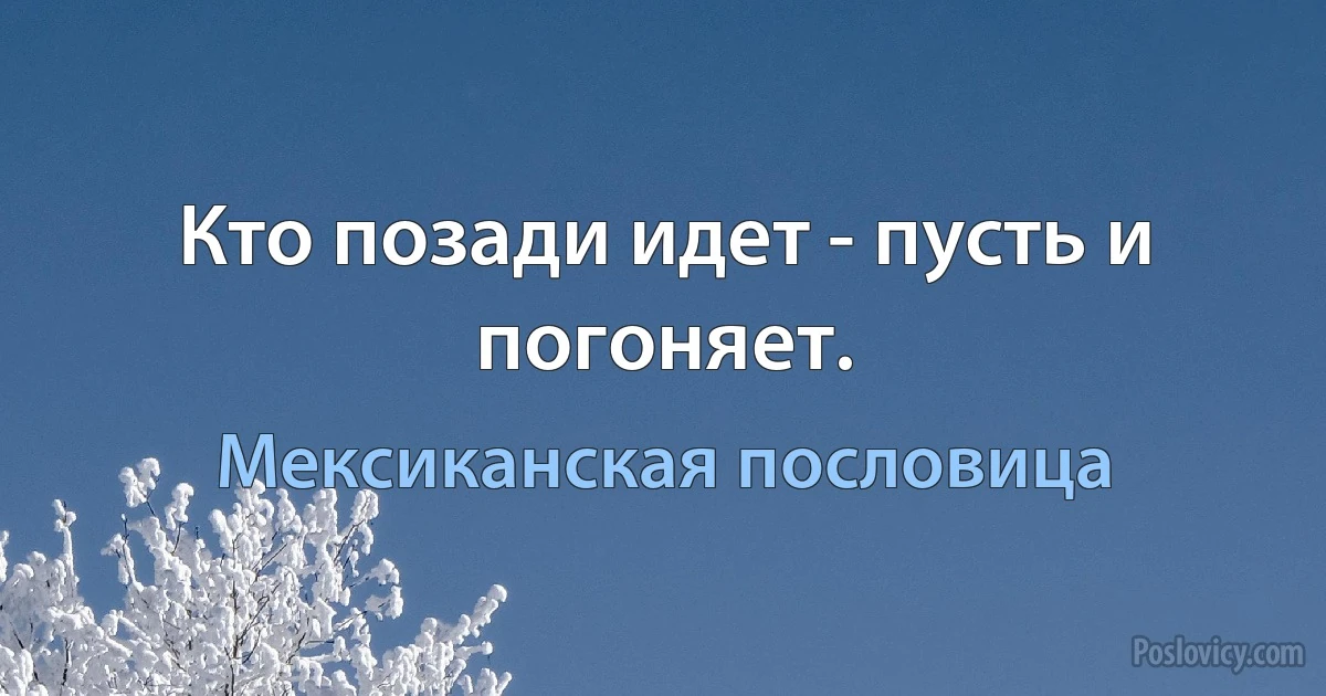 Кто позади идет - пусть и погоняет. (Мексиканская пословица)