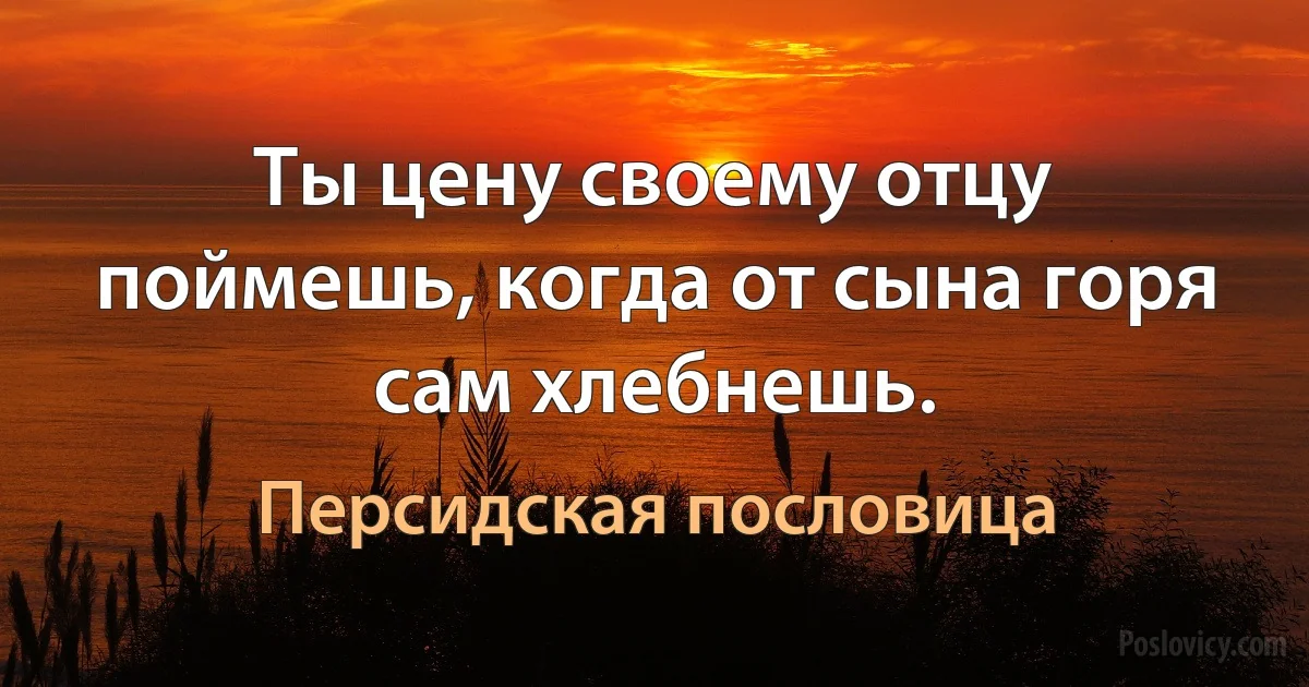 Ты цену своему отцу поймешь, когда от сына горя сам хлебнешь. (Персидская пословица)