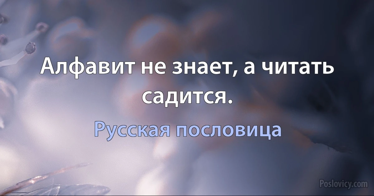 Алфавит не знает, а читать садится. (Русская пословица)