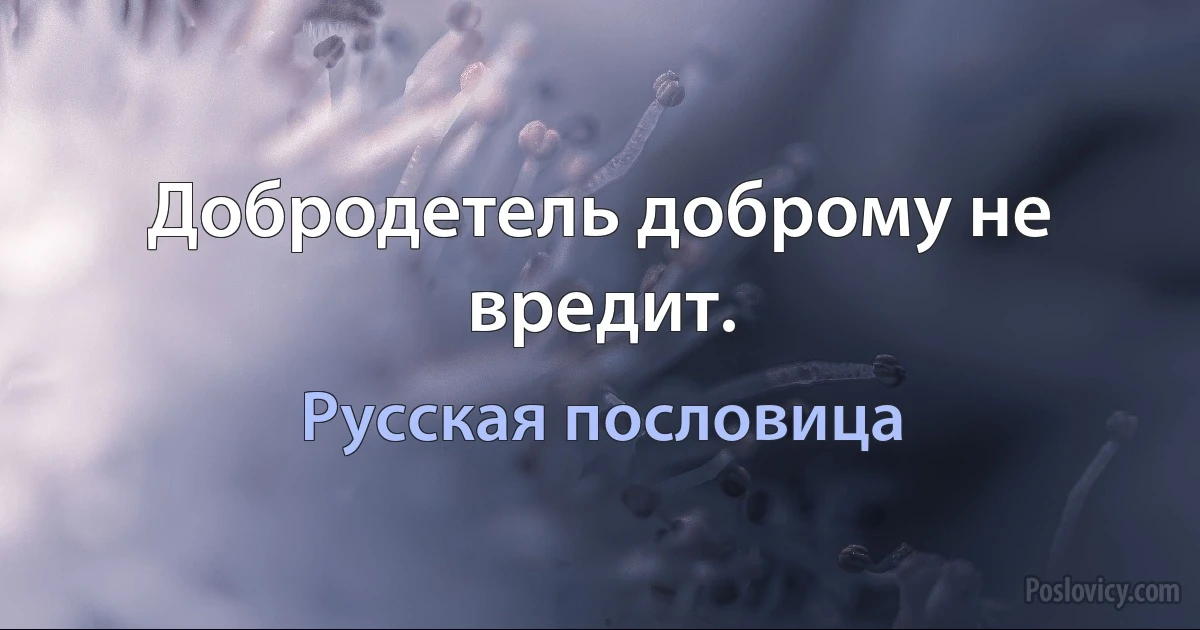 Добродетель доброму не вредит. (Русская пословица)