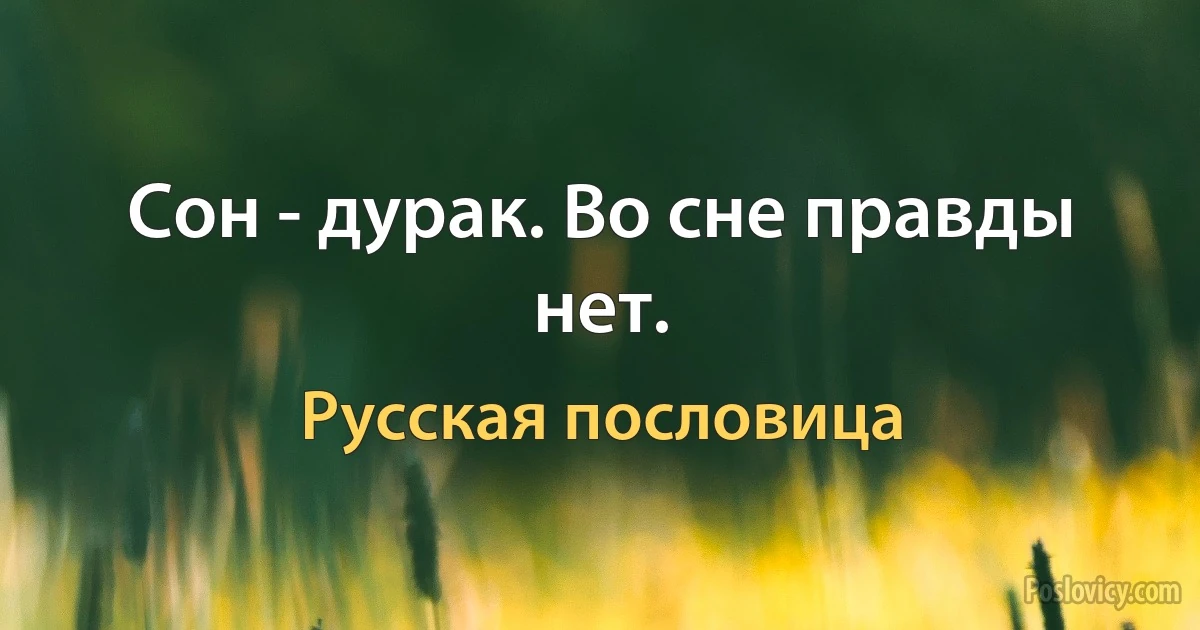 Сон - дурак. Во сне правды нет. (Русская пословица)