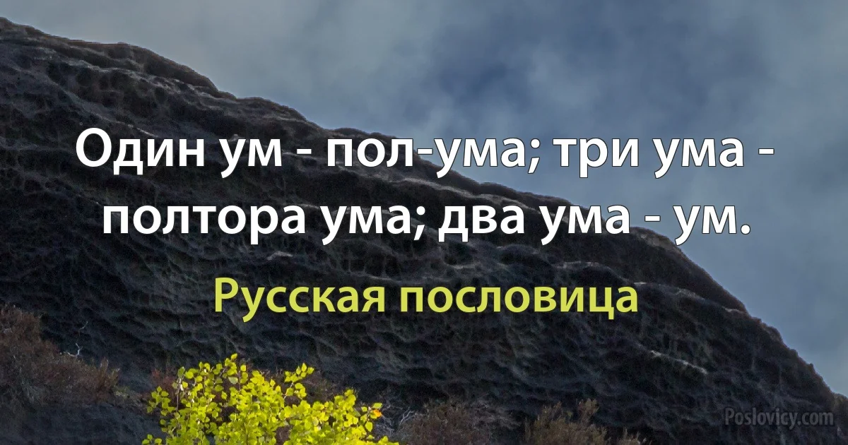 Один ум - пол-ума; три ума - полтора ума; два ума - ум. (Русская пословица)