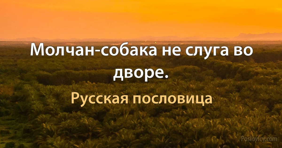 Молчан-собака не слуга во дворе. (Русская пословица)