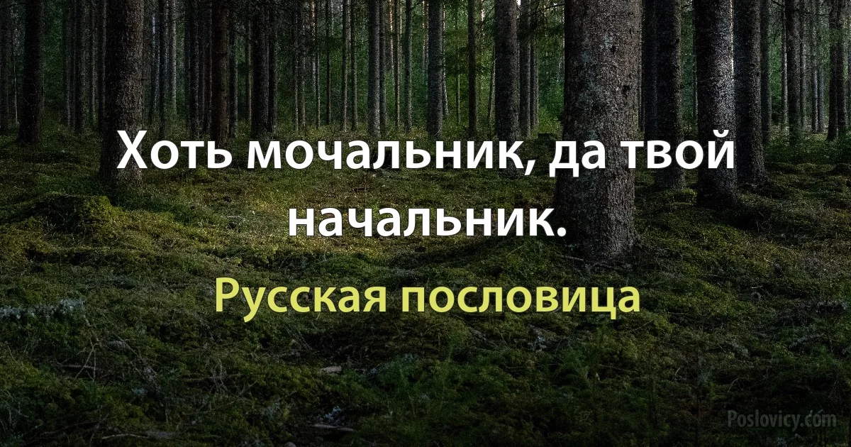 Хоть мочальник, да твой начальник. (Русская пословица)