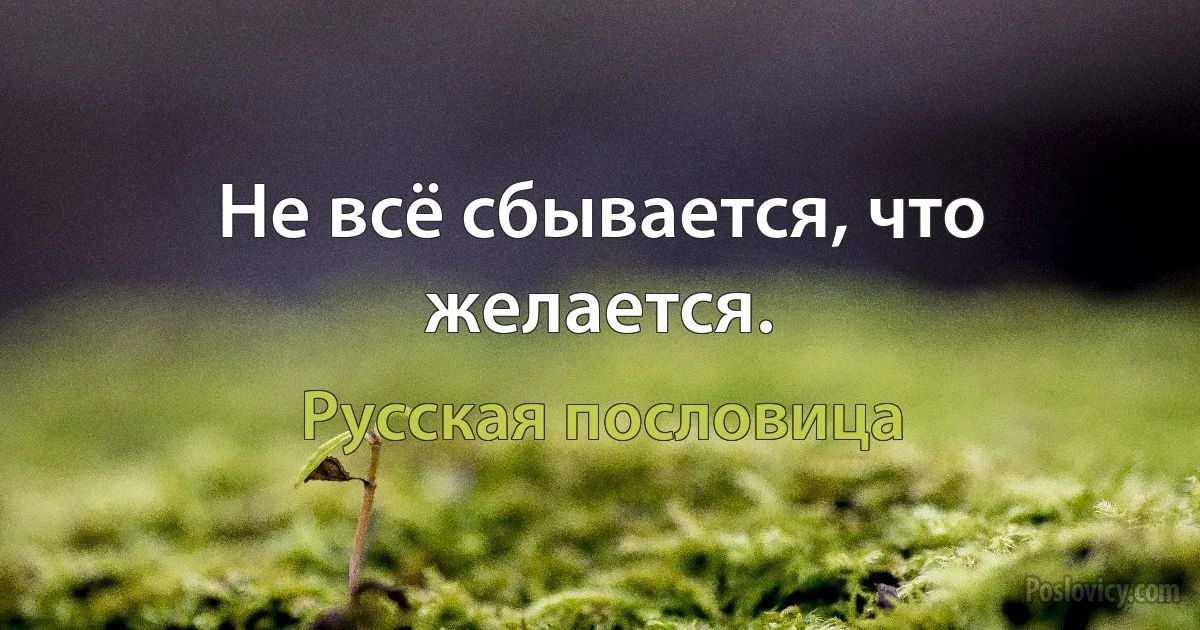 Не всё сбывается, что желается. (Русская пословица)