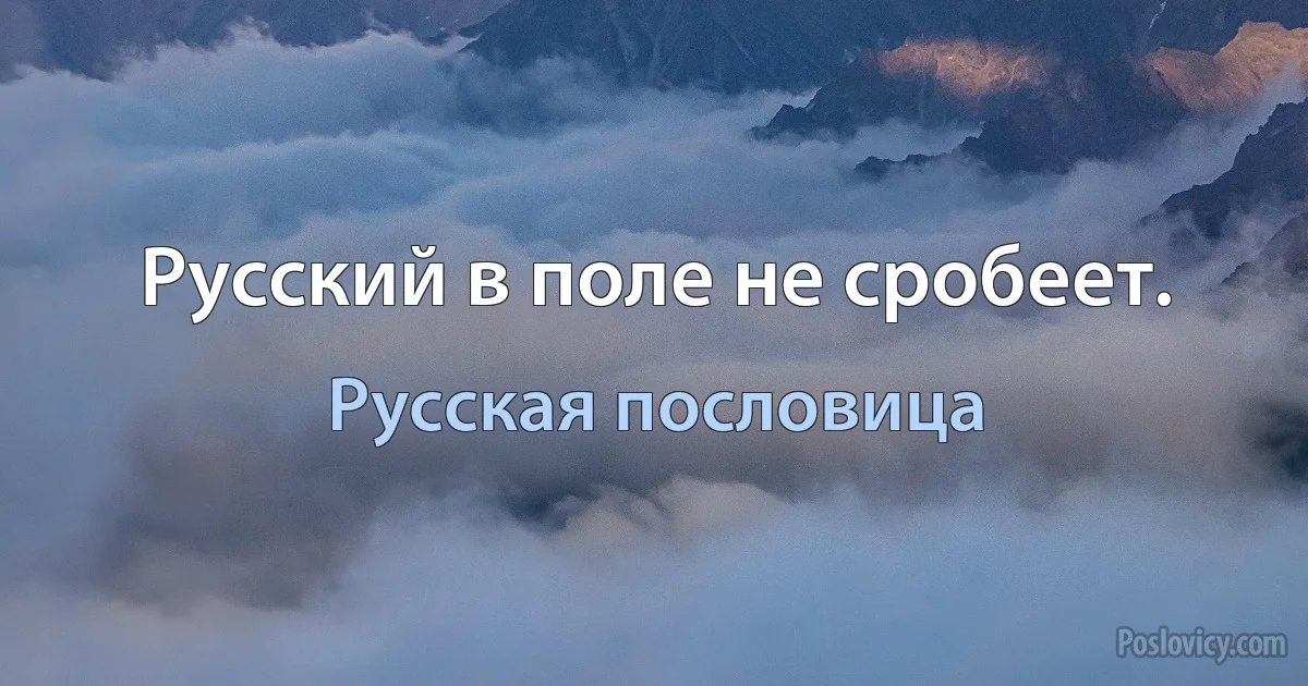 Русский в поле не сробеет. (Русская пословица)