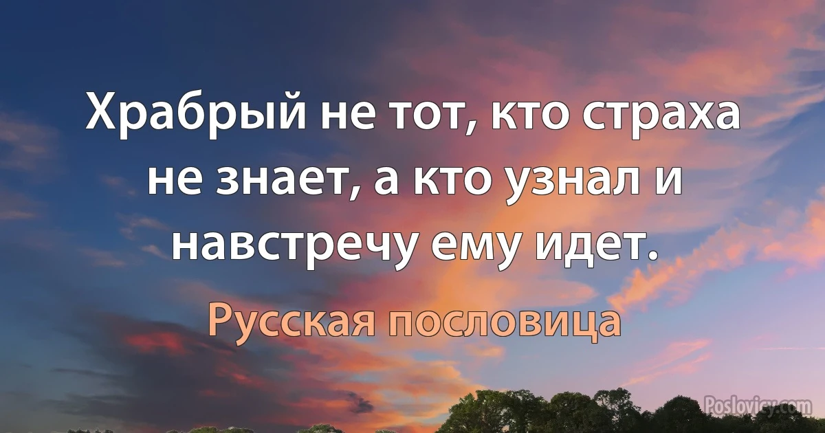 Храбрый не тот, кто страха не знает, а кто узнал и навстречу ему идет. (Русская пословица)