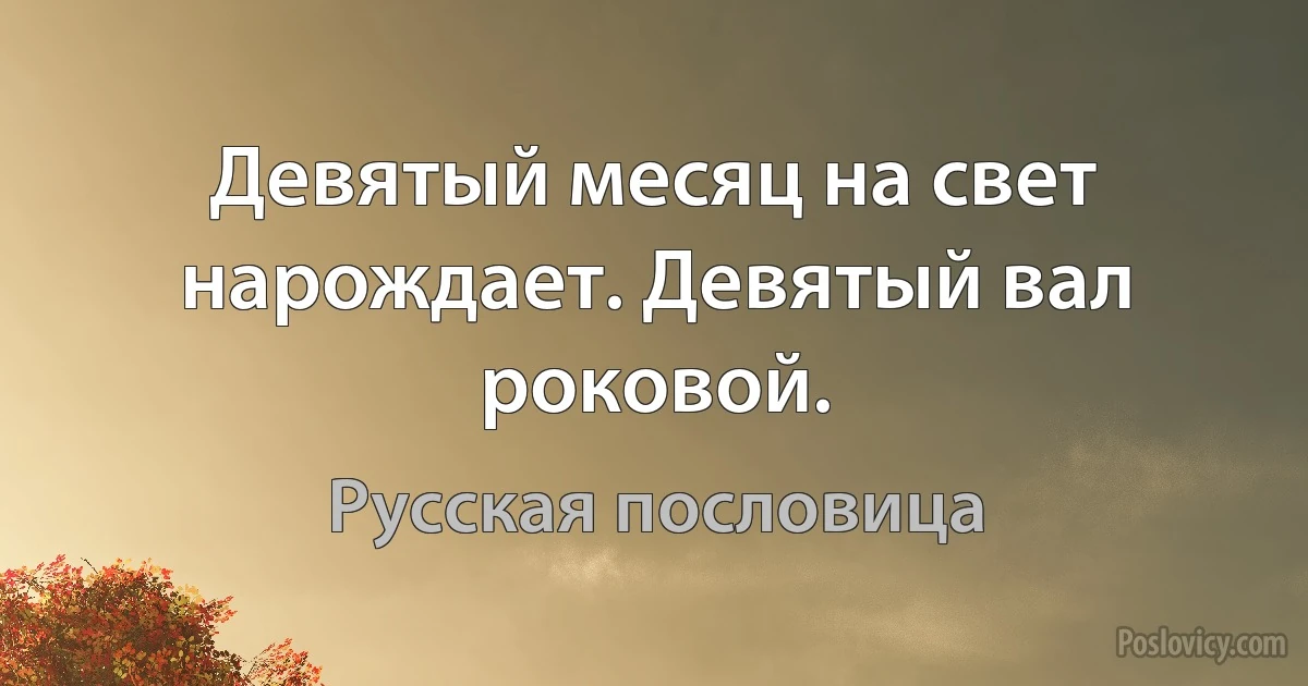 Девятый месяц на свет нарождает. Девятый вал роковой. (Русская пословица)