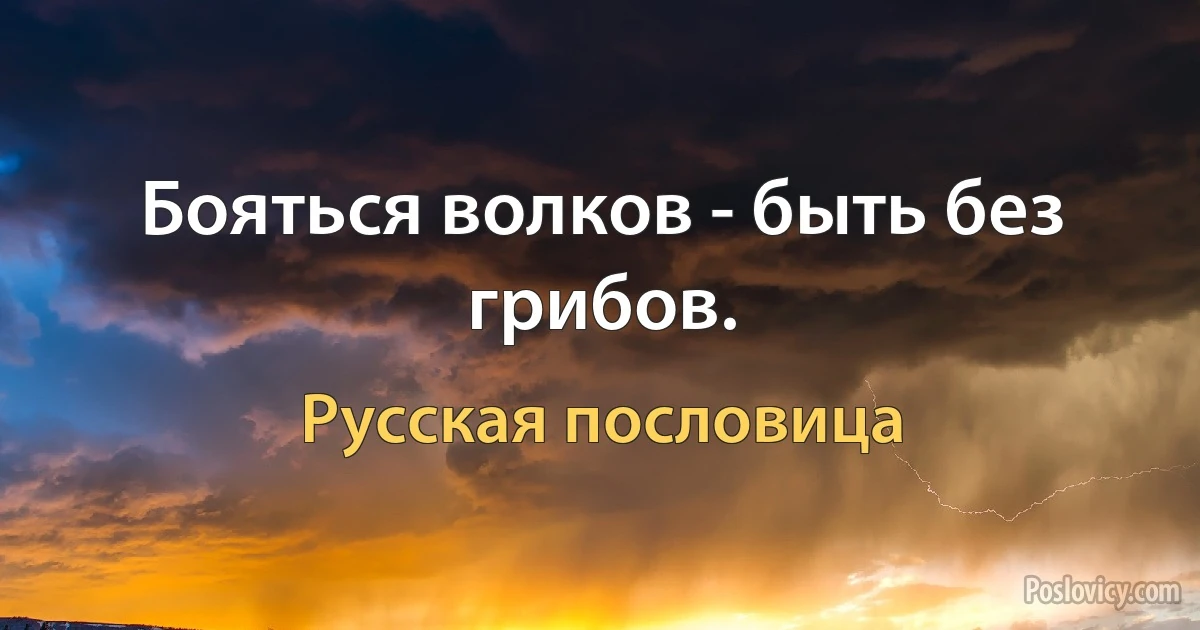 Бояться волков - быть без грибов. (Русская пословица)