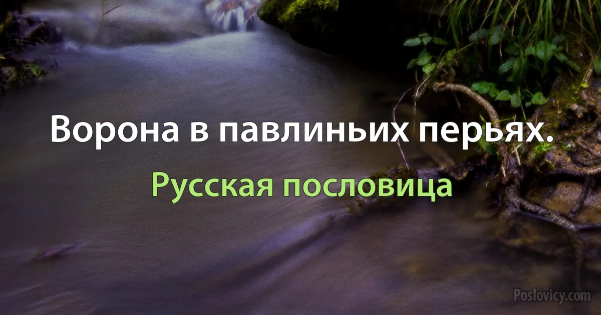 Ворона в павлиньих перьях. (Русская пословица)