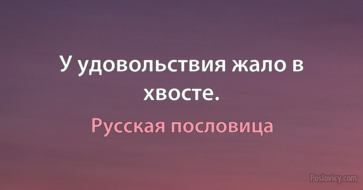 У удовольствия жало в хвосте. (Русская пословица)