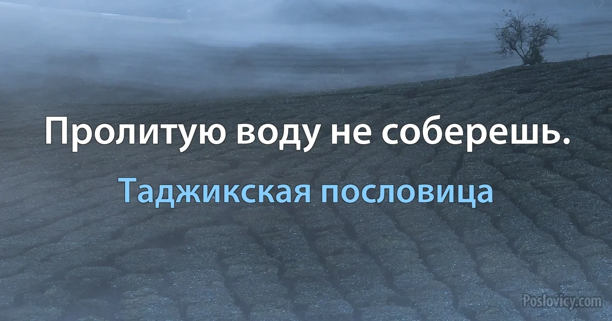 Пролитую воду не соберешь. (Таджикская пословица)