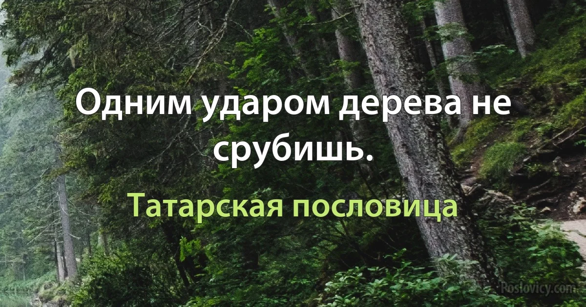 Одним ударом дерева не срубишь. (Татарская пословица)