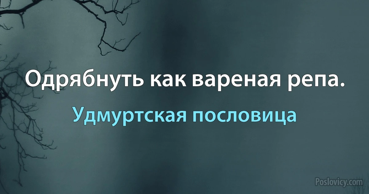 Одрябнуть как вареная репа. (Удмуртская пословица)