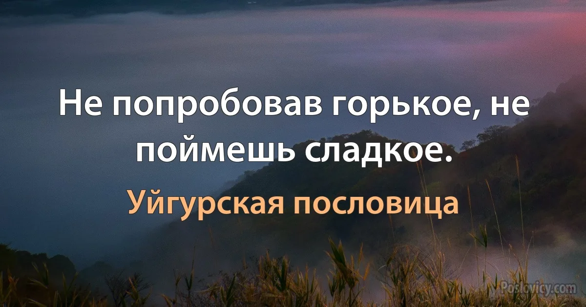 Не попробовав горькое, не поймешь сладкое. (Уйгурская пословица)