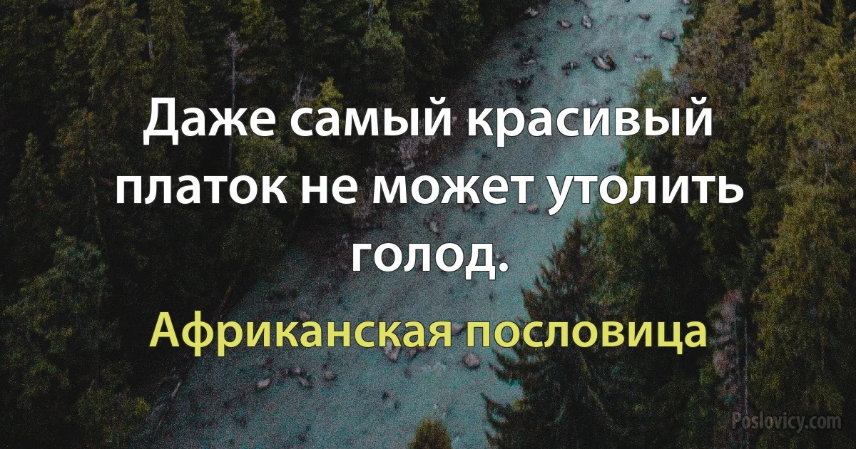 Даже самый красивый платок не может утолить голод. (Африканская пословица)