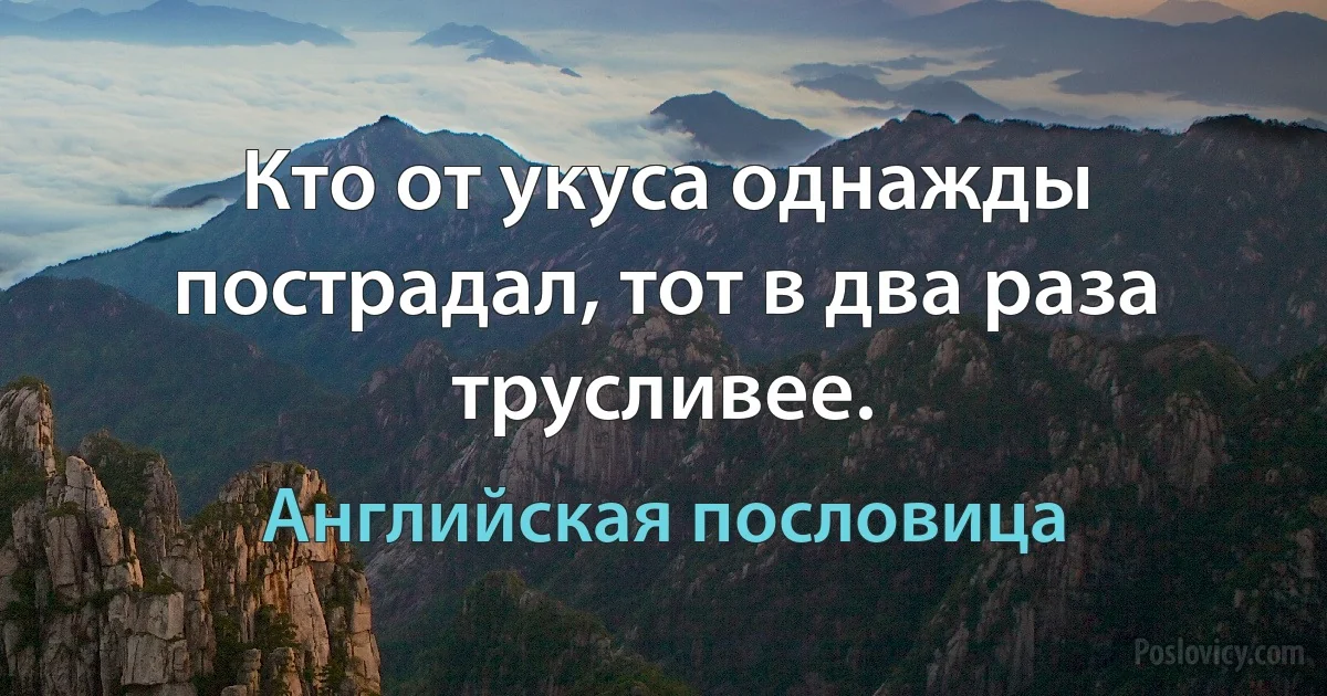 Кто от укуса однажды пострадал, тот в два раза трусливее. (Английская пословица)