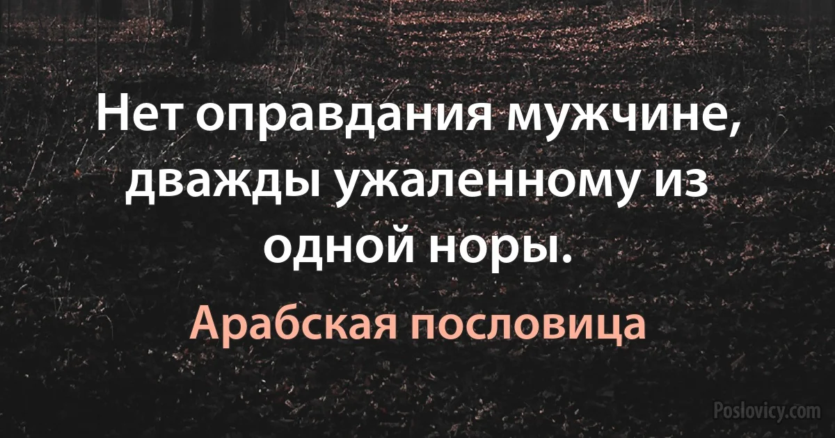 Нет оправдания мужчине, дважды ужаленному из одной норы. (Арабская пословица)