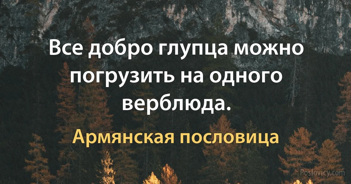 Все добро глупца можно погрузить на одного верблюда. (Армянская пословица)