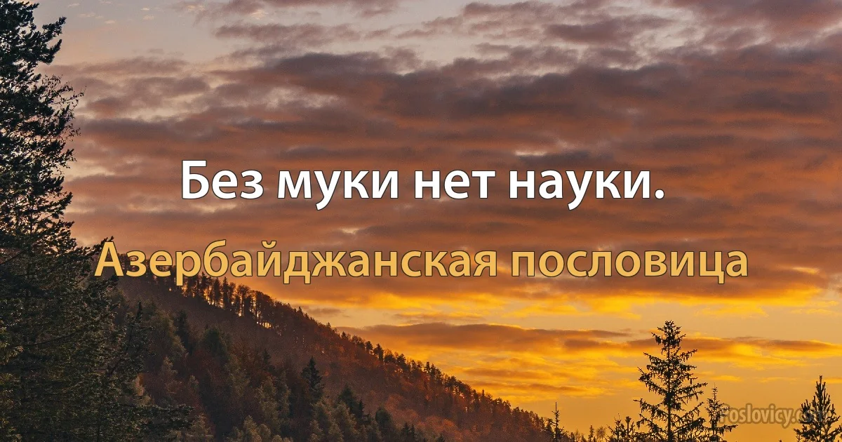 Без муки нет науки. (Азербайджанская пословица)