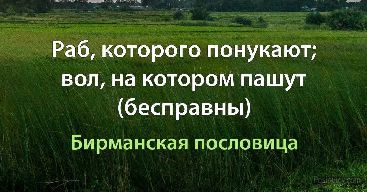 Раб, которого понукают; вол, на котором пашут (бесправны) (Бирманская пословица)