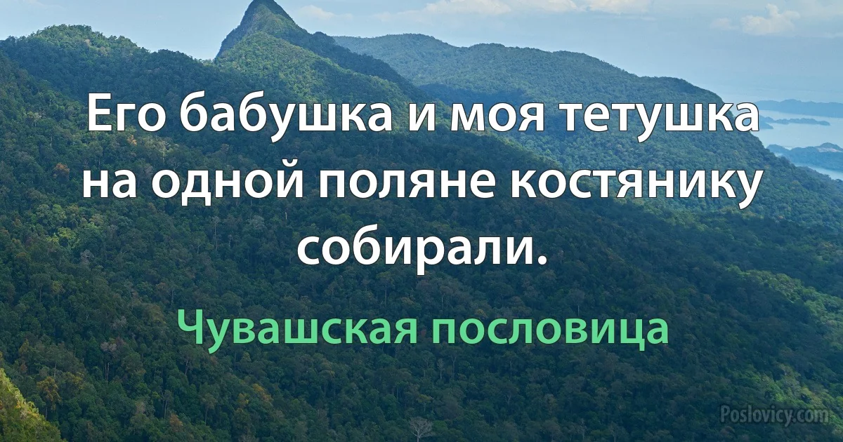 Его бабушка и моя тетушка на одной поляне костянику собирали. (Чувашская пословица)