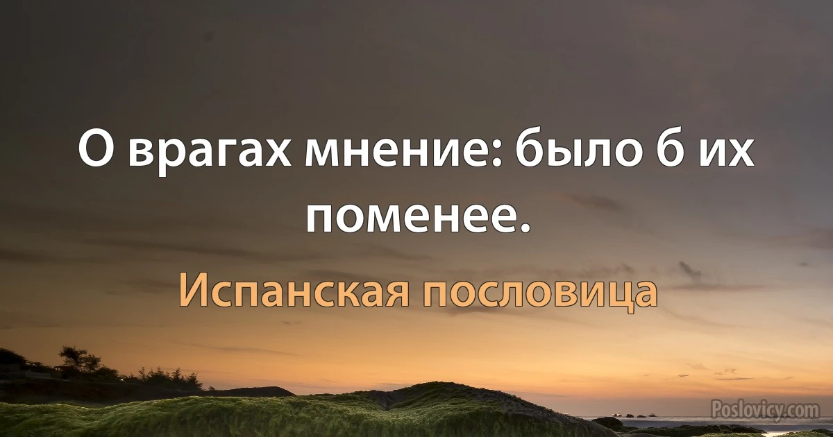 О врагах мнение: было б их поменее. (Испанская пословица)