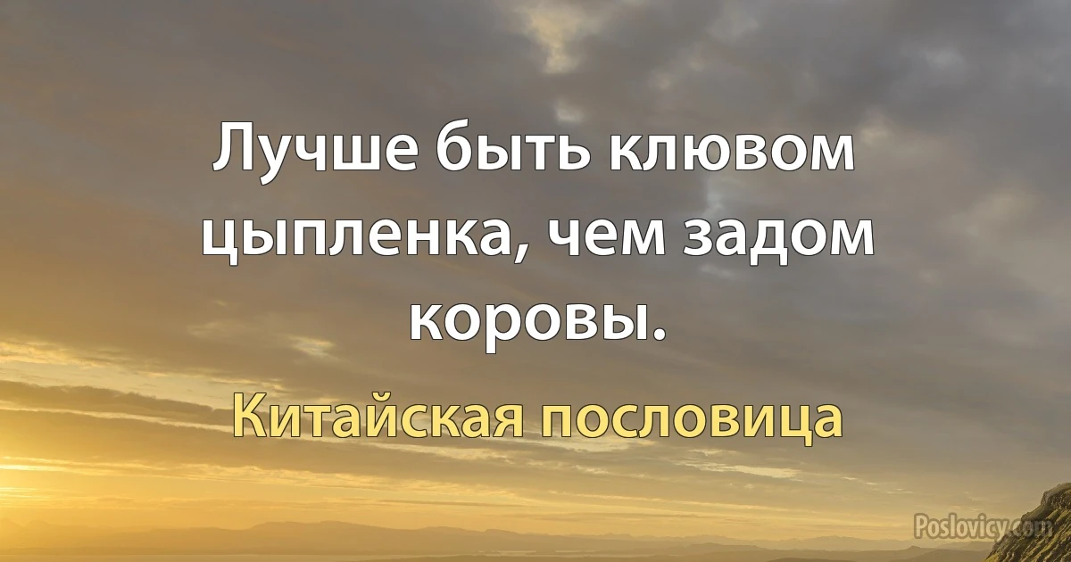 Лучше быть клювом цыпленка, чем задом коровы. (Китайская пословица)