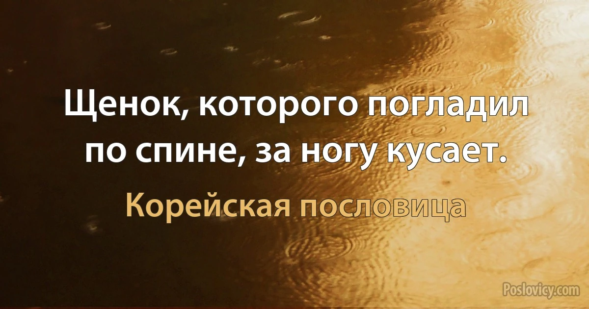 Щенок, которого погладил по спине, за ногу кусает. (Корейская пословица)