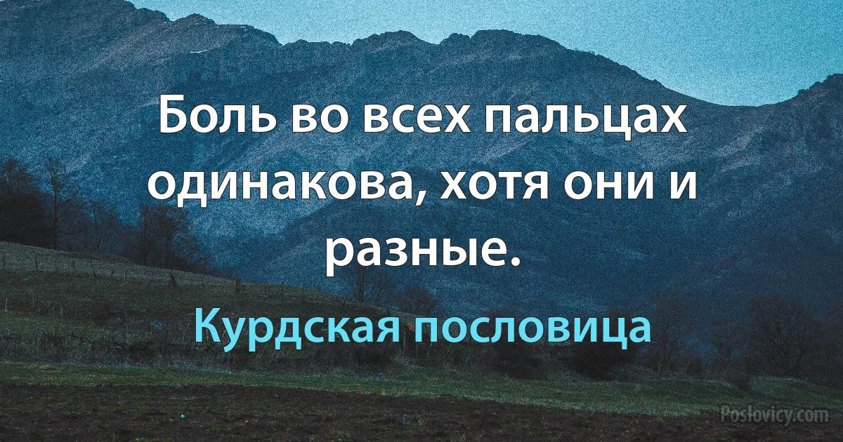 Боль во всех пальцах одинакова, хотя они и разные. (Курдская пословица)