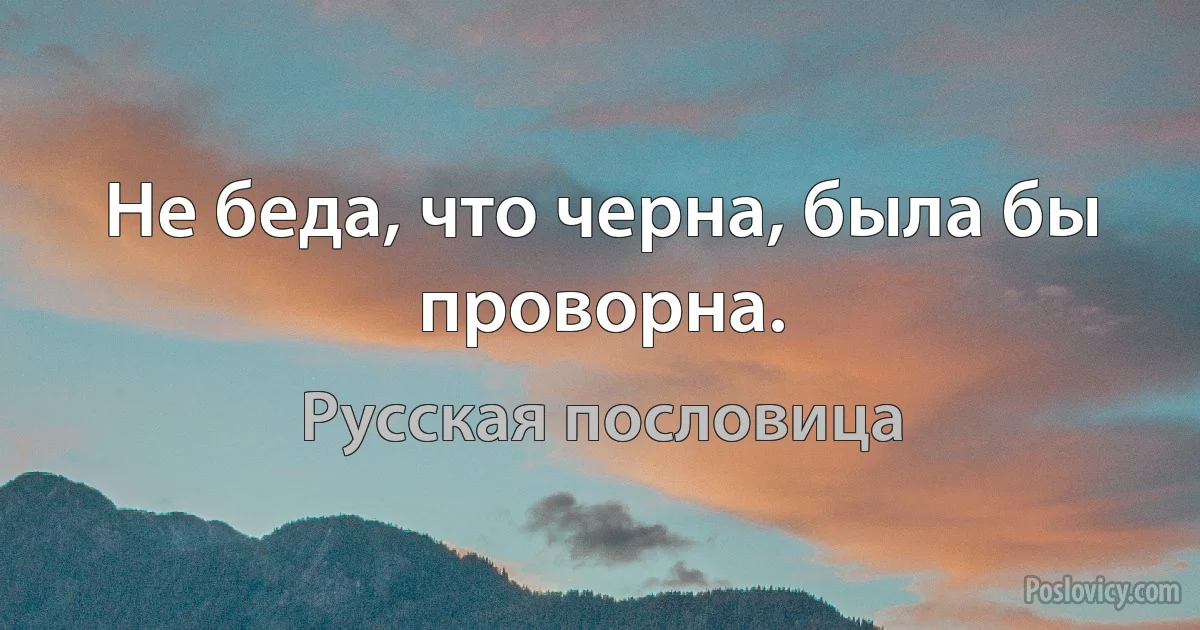 Не беда, что черна, была бы проворна. (Русская пословица)