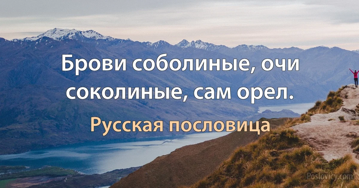 Брови соболиные, очи соколиные, сам орел. (Русская пословица)