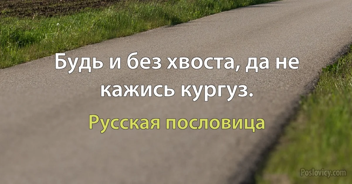 Будь и без хвоста, да не кажись кургуз. (Русская пословица)