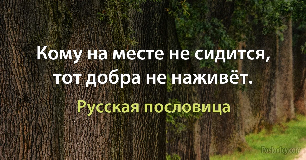 Кому на месте не сидится, тот добра не наживёт. (Русская пословица)