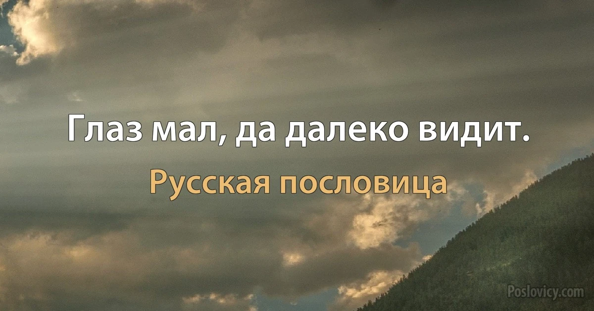 Глаз мал, да далеко видит. (Русская пословица)