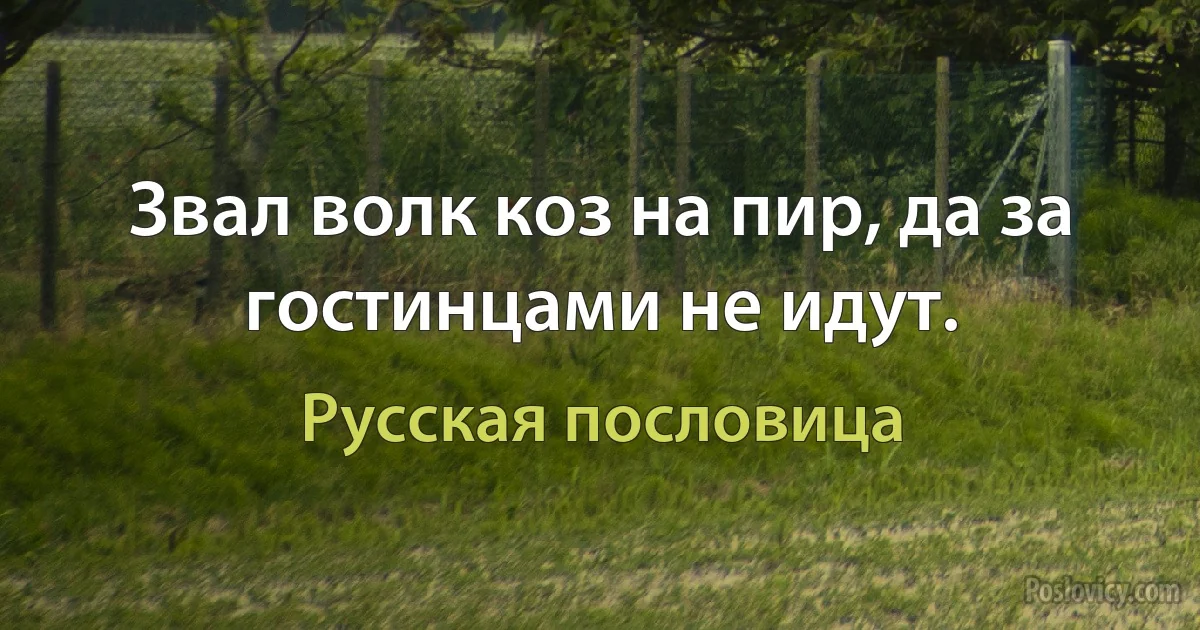 Звал волк коз на пир, да за гостинцами не идут. (Русская пословица)