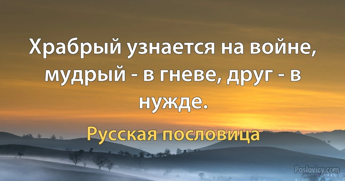 Храбрый узнается на войне, мудрый - в гневе, друг - в нужде. (Русская пословица)