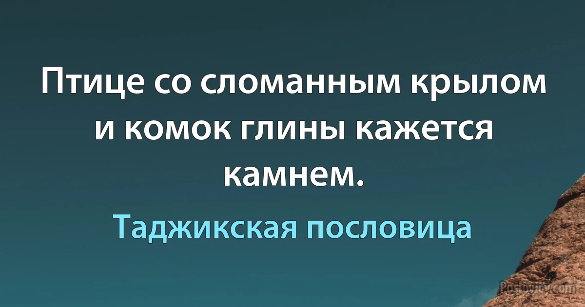 Птице со сломанным крылом и комок глины кажется камнем. (Таджикская пословица)