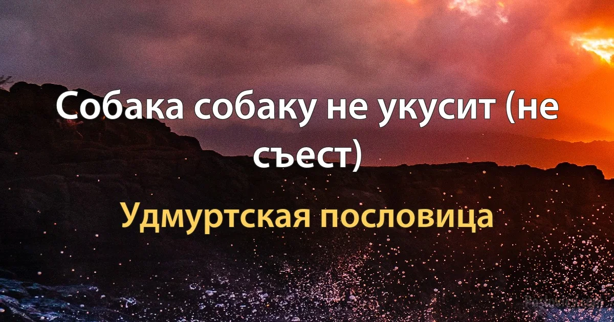 Собака собаку не укусит (не съест) (Удмуртская пословица)