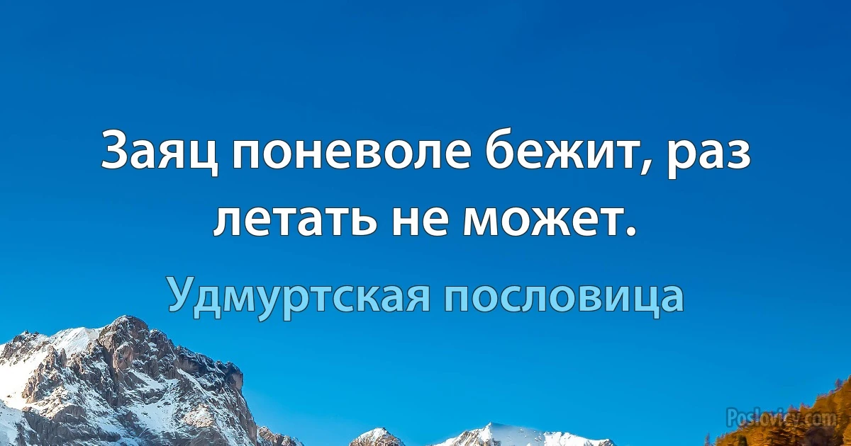 Заяц поневоле бежит, раз летать не может. (Удмуртская пословица)