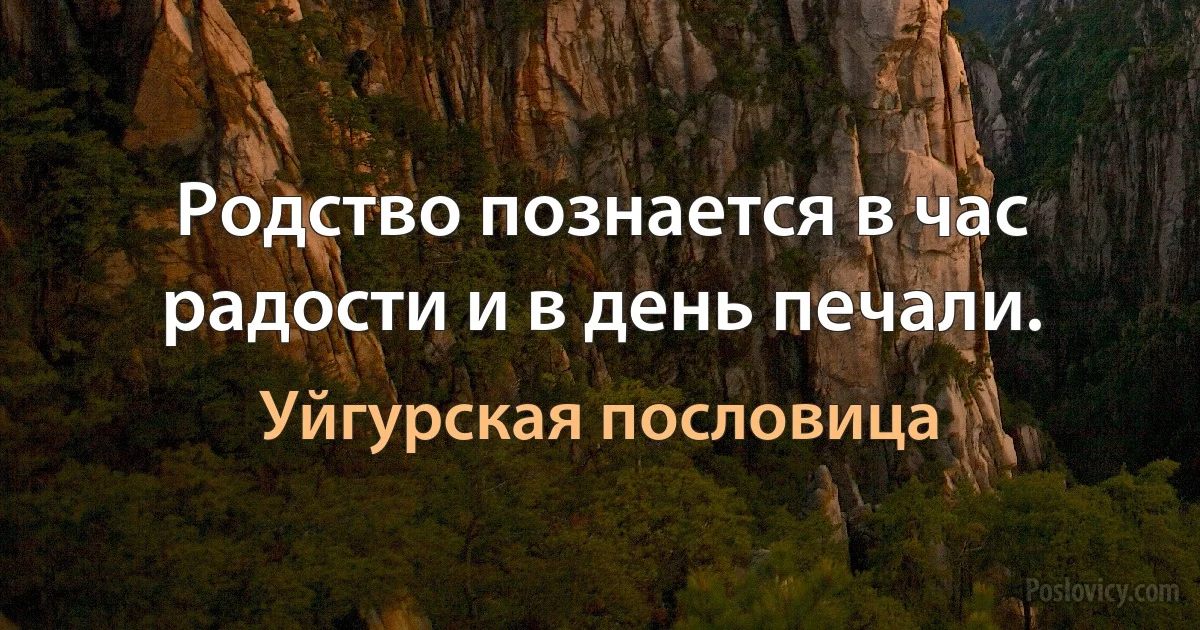 Родство познается в час радости и в день печали. (Уйгурская пословица)