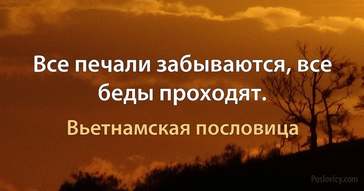 Все печали забываются, все беды проходят. (Вьетнамская пословица)