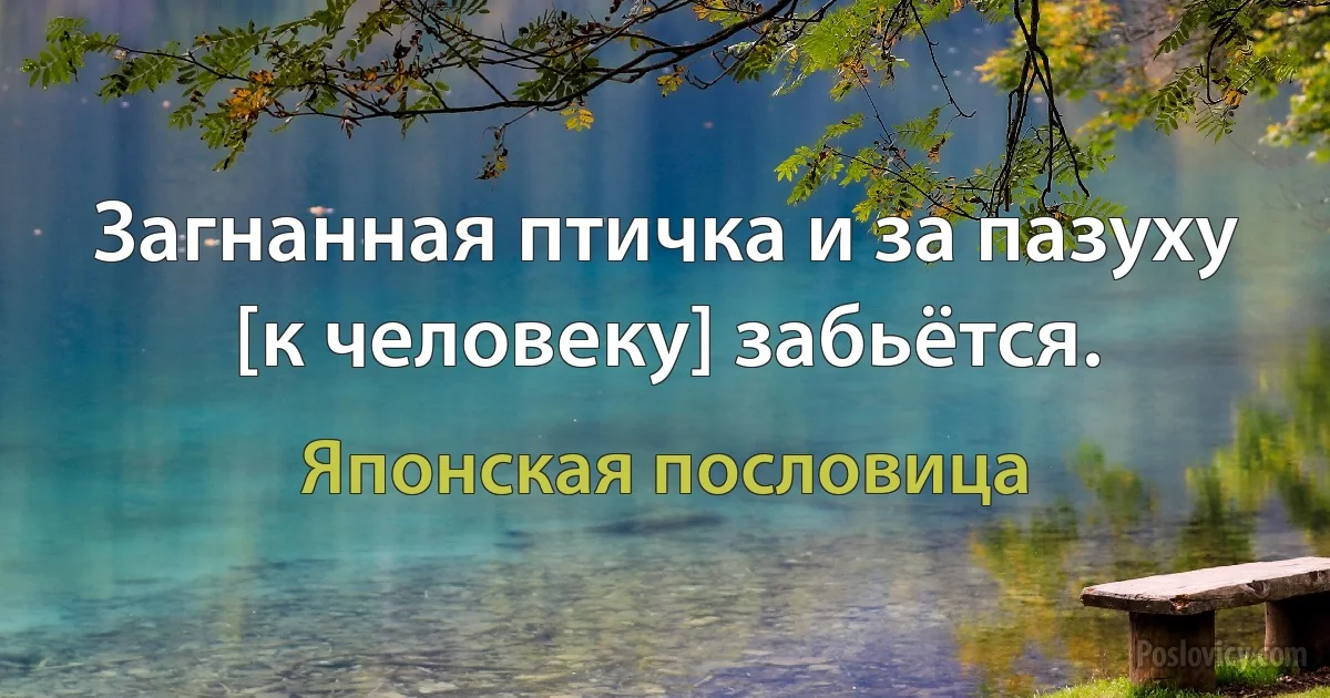 Загнанная птичка и за пазуху [к человеку] забьётся. (Японская пословица)